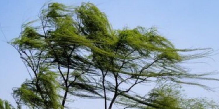 Strong winds, heavy fog, cold waves, sandstorms, and strong convection, the Central Meteorological Observatory’s fifth warning was issued together