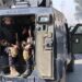 Syria ends military operations and promises to severely punish civilian murderers