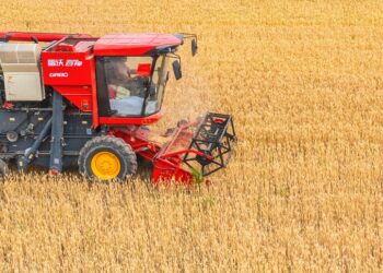 The “big head” purchase of autumn grains has been purchased nationwide in a total of more than 300 million tons.