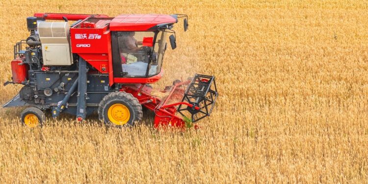 The “big head” purchase of autumn grains has been purchased nationwide in a total of more than 300 million tons.