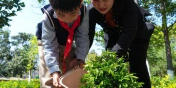 my country’s land greening has achieved new results in 2024. The country has completed 7.67 million hectares of land greening tasks in 2024.
