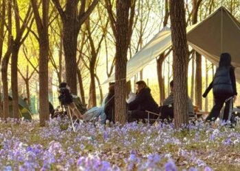 Appreciate spring flowers, watch performances, and watch intangible heritage "Spring economy"Enough vitality