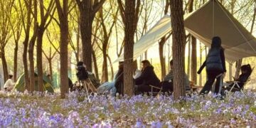 Appreciate spring flowers, watch performances, and watch intangible heritage "Spring economy"Enough vitality