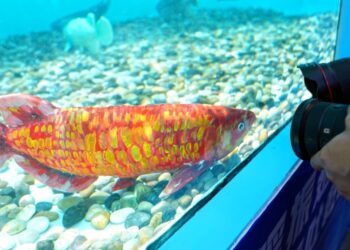 Daily Word | Healthy and orderly advancement of the AI ​​sector