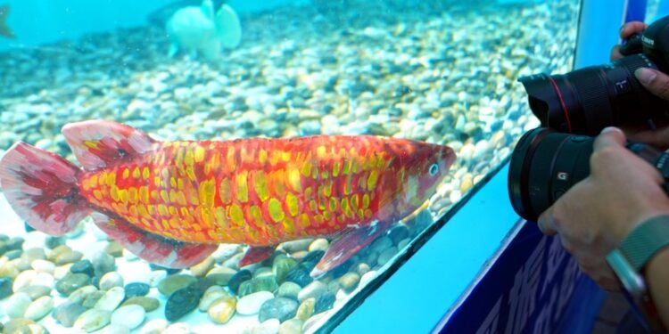 Daily Word | Healthy and orderly advancement of the AI ​​sector