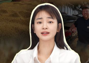 Talking about news in plain language | The shout of an American farmer