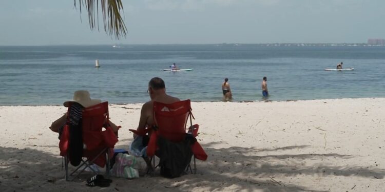 Tariff policies and negative factors impact US tourism industry in March dropping by 12%