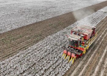 The Xinjiang emerges as a cotton picking production center