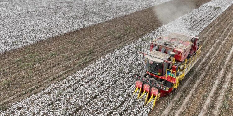 The Xinjiang emerges as a cotton picking production center