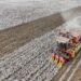 The Xinjiang emerges as a cotton picking production center