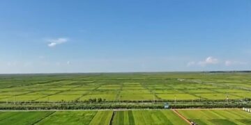 The grain intention planting area is about 1.79 billion mu of national spring sowing progress bar updated
