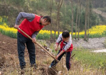 The word of daily | nationwide volunteer tree-planting campaign