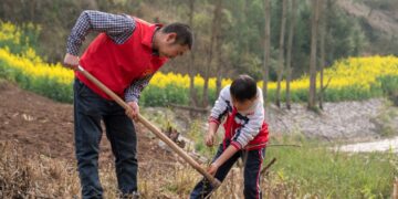 The word of daily | nationwide volunteer tree-planting campaign