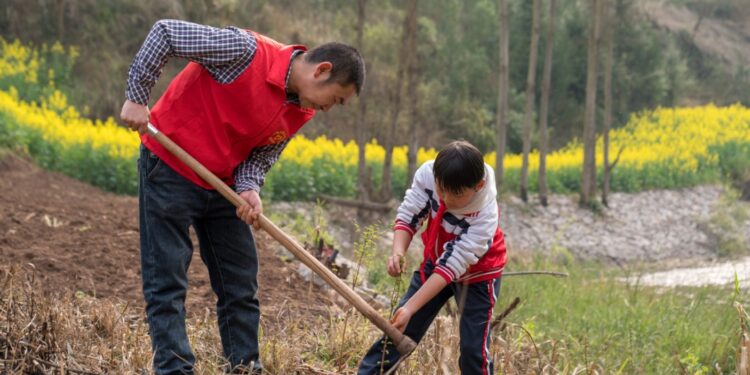 The word of daily | nationwide volunteer tree-planting campaign