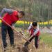 The word of daily | nationwide volunteer tree-planting campaign