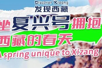 Tibet limited spring day