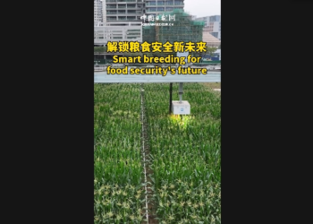 Unlock a new future of food security