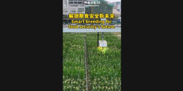 Unlock a new future of food security