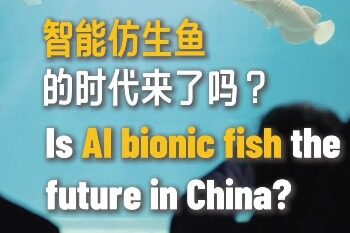 Watch smart bionic fish"Golden scale"How to subvert the aquarium experience!