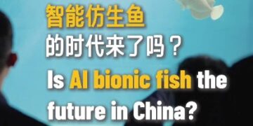 Watch smart bionic fish"Golden scale"How to subvert the aquarium experience!