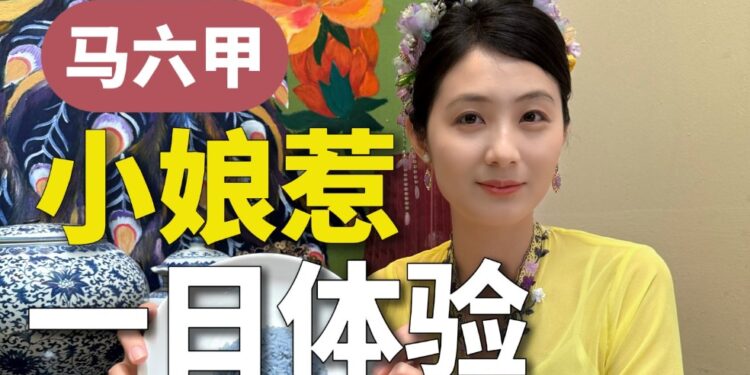 What did you do in Malaysian Nyonya?