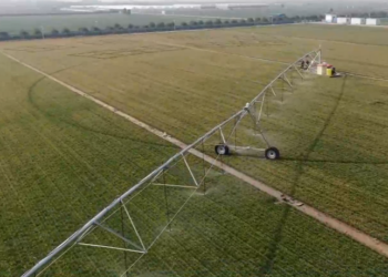 my country’s agricultural production is expected in the next ten years