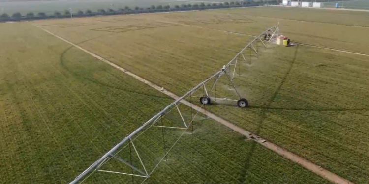 my country’s agricultural production is expected in the next ten years