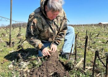 【What China’s Things】China’s economy is resilient and the US tariffs will damage its own foundation