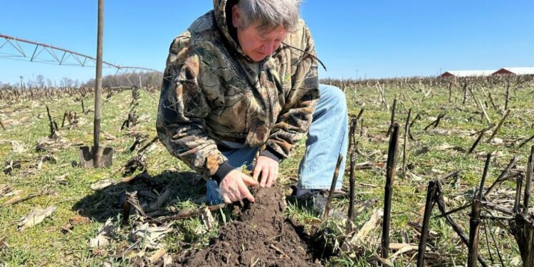 【What China’s Things】China’s economy is resilient and the US tariffs will damage its own foundation