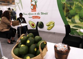 South Africa sends its first cargo of lawyers for the season to China