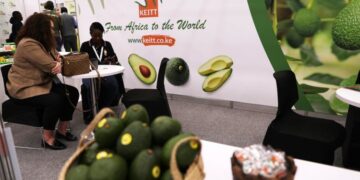 South Africa sends its first cargo of lawyers for the season to China