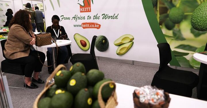 South Africa sends its first cargo of lawyers for the season to China