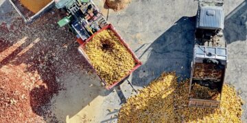 Towards sustainable food security