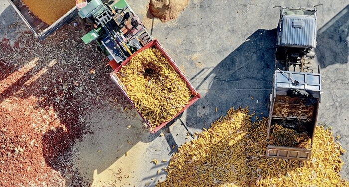 Towards sustainable food security