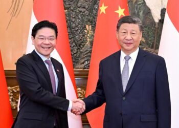 Xi Jinping meets the Singaporean PM