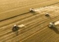 China expects an exceptional cereal harvest