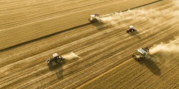 China expects an exceptional cereal harvest