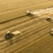 China expects an exceptional cereal harvest