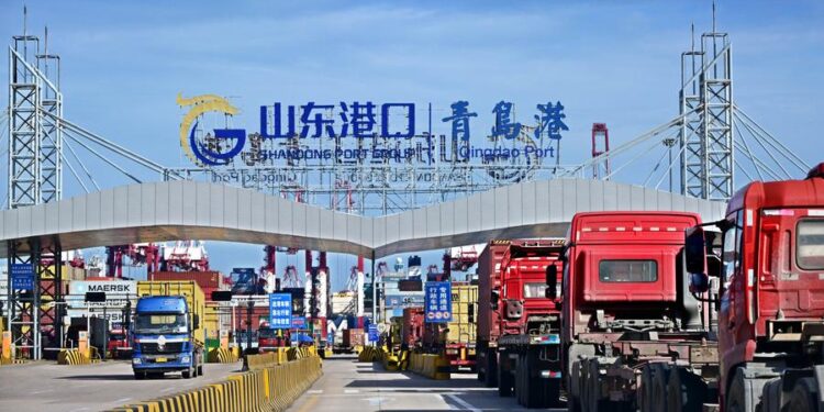 Qingdao and the DRC strengthen their cooperation in cross -border logistics