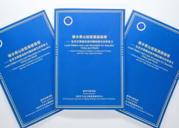 A reflection group report emphasizes Chinese innovation in ecological governance and its global influence