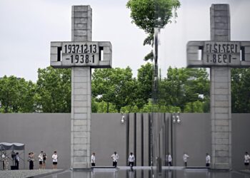 Build peace by drawing lessons from history