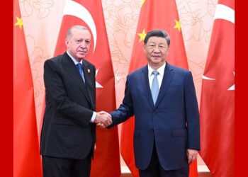 Xi Jinping meets Turkish President