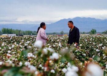 mechanization and mass production boost profitability