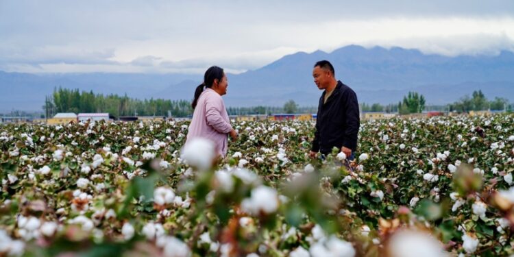 mechanization and mass production boost profitability