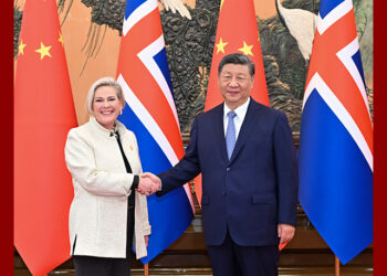 Xi Jinping meets Icelandic president