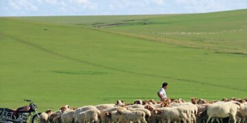 Land of grass and future