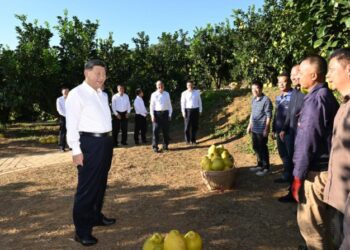 Xi Jinping calls for deepening reform and opening-up during inspection tour of Guangdong Province