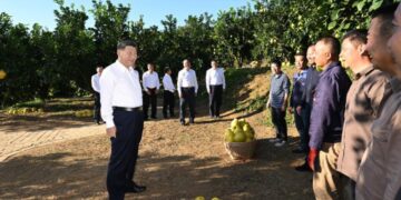 Xi Jinping calls for deepening reform and opening-up during inspection tour of Guangdong Province