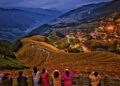 Regional coordination and sustainable development