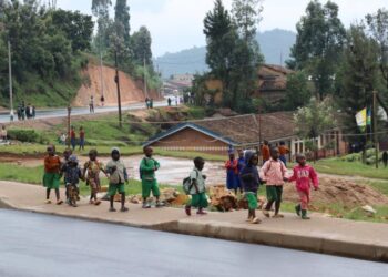 China’s high-quality development injects stability and vitality into the global economy